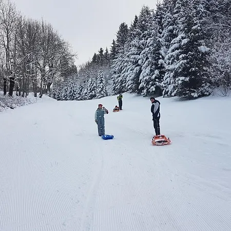 Appartement Un Air De Bretagne A La Montagne-studio Avec Balcon